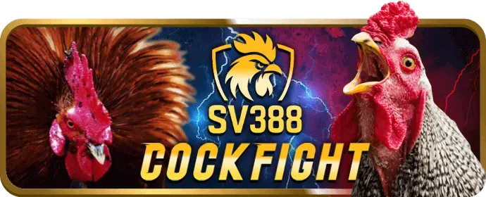 Cài đặt ứng dụng 11bet